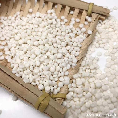 近些年包括lv,香奈儿在内的多个国际大牌都纷纷推出了生物基材料的