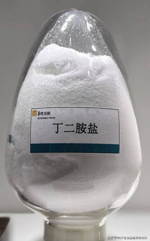 邀您参加第11届生物基展览